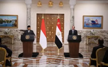 الرئيس السيسي: منطقة لوجستية باقتصادية قناة السويس بالشراكة بين بين مصر وإندونيسيا