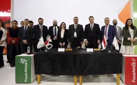 لدعم المشروعات الصغيرة والمتوسطة.. البنك الأهلي يوقع بروتوكولا مع شركة محاصيل