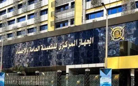 الإحصاء: 1.39 مليار دولار قيمة التبادل التجاري بين مصر وإندونيسيا خلال 2024