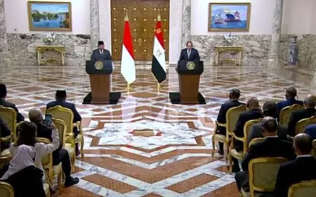 رئيس إندونيسيا: نتعاون مع مصر في الترويج للمنهج الوسطي للإسلام
