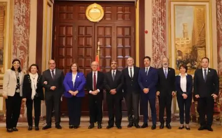 توافق مصري-فرنسي على بيان مشترك للمطالبة بوقف الاعتداءات على الشعب الفلسطيني