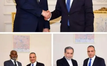 على هامش فعاليات مجموعة الدول الثماني النامية D-8.. بدر عبدالعاطي يلتقي وزيري خارجية تركيا وإيران