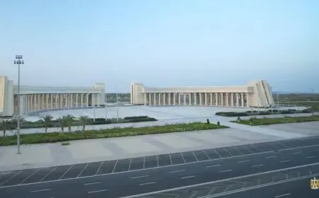 بث مباشر.. الرئيس السيسي يشارك في افتتاح أعمال قمة منظمة الدول الثماني النامية للتعاون الاقتصادي