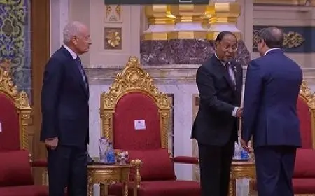 الرئيس السيسي يستقبل القادة المشاركين في قمة مجموعة الدول الثماني النامية للتعاون الاقتصادي