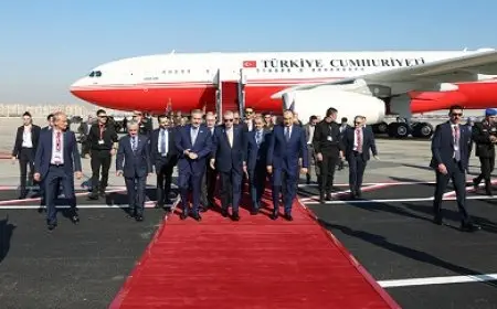 أردوغان يصل إلى القاهرة للمشاركة بقمة منظمة الدول الثماني