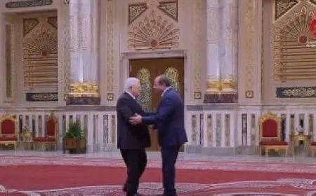 الرئيس الفلسطيني يصل إلى مقر انعقاد قمة منظمة الدول الثماني النامية للتعاون الاقتصادي