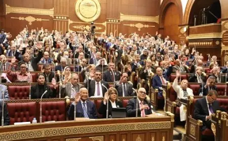 مجلس الشيوخ يناقش مشروع قانون المسئولية الطبية الأحد المقبل