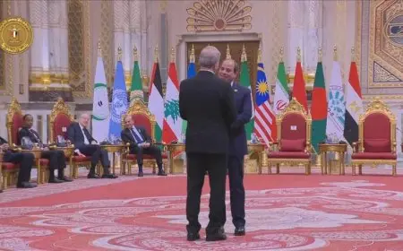 الرئيس السيسي يستقبل نظيره الإيراني قبيل انطلاق قمة منظمة الدول الثماني النامية للتعاون الاقتصادي