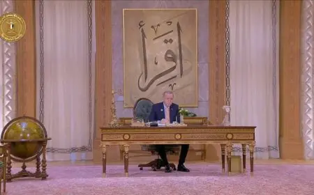 الرئيس السيسي يستقبل أردوغان قبيل انعقاد قمة منظمة الدول الثماني النامية للتعاون الاقتصادي