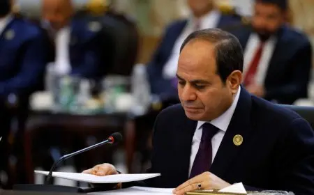 كلمة الرئيس السيسي بقمة الدول الثماني النامية للتعاون الاقتصادي