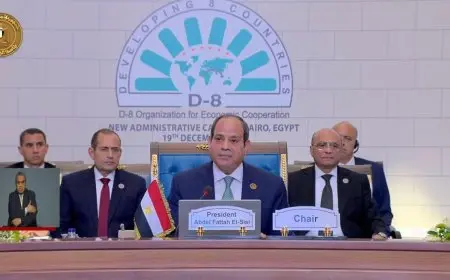 الرئيس السيسي: استمرار الحرب الإسرائيلية ضد الفلسطينيين تحد لقرارات الشرعية الدولية