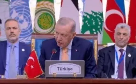 أردوغان يشكر الرئيس السيسي على استضافة قمة الدول الثماني النامية