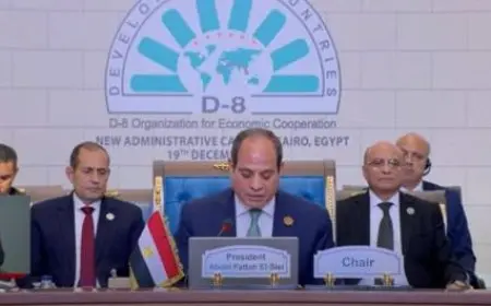 قمة الدول الثماني النامية.. الرئيس السيسي يخصص جلسة لبحث الأوضاع في فلسطين ولبنان