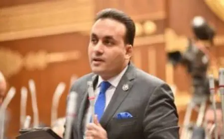 النائب عمرو فهمي: قمة منظمة الدول الثماني النامية فرصة استراتيجية لتعزيز مكانة مصر الاقتصادية