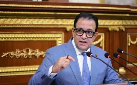 علاء عابد: كلمة الرئيس بقمة دول الثماني تعكس رؤية مصر القائمة على التعاون والشراكة في مواجهة التحديات