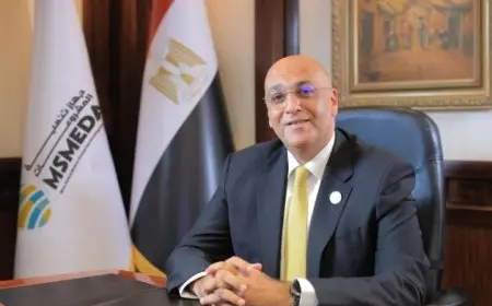 جهاز تنمية المشروعات يقدم خدمات فنية لأصحاب المشروعات بالتعاون مع الجهات الدولية