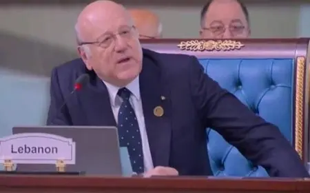 ميقاتي: موقف مصر من الأحداث في لبنان يُذكر في التاريخ