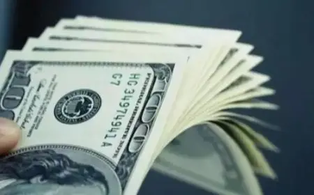 ارتفاع سعر الدولار في 10 بنوك خلال أسبوع