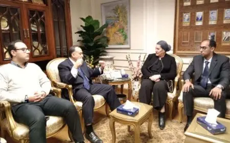 السنباطي: إنشاء فروع للمجلس القومي للطفولة في جميع المحافظات لتسهيل التدخل السريع