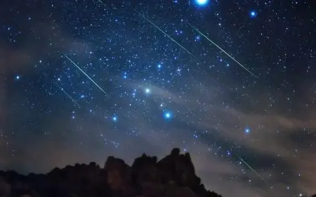 مع بداية الشتاء.. شهب الدببيات تضيء سماء مصر في مشهد فلكي مميز