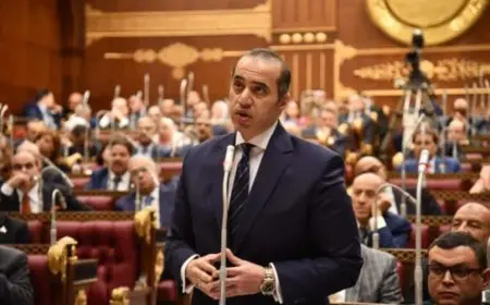 ما مزايا وضمانات مشروع قانون المسئولية الطبية؟ المستشار محمود فوزي يجيب أمام مجلس الشيوخ