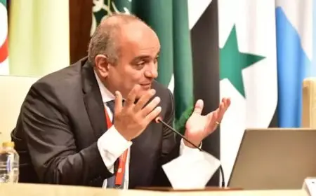 نائب وزير المالية: تعزيز النمو المستدام في أفريقيا يتطلب تضافر الجهود