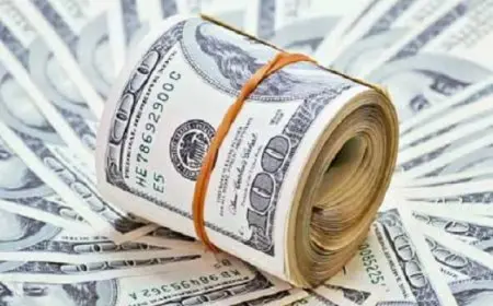 الدولار يستقر بعد تراجع مخاوف بشأن الفائدة