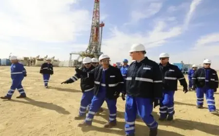 البترول: 44 مليون برميل احتياطي شركة “بدر الدين للبترول”