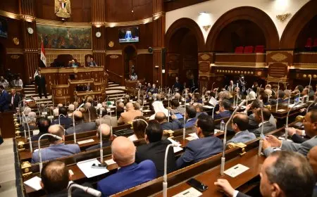 تفاصيل قانون المسئولية الطبية الجديد.. البدري يوضح