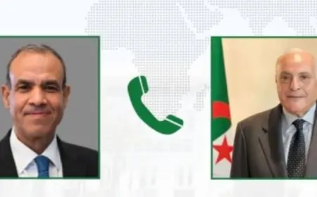 مصر والجزائر تناقشان مستجدات الوضع في سوريا