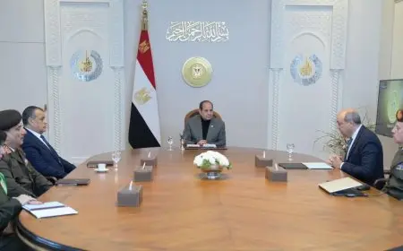 الرئيس السيسي يوجه باستمرار العمل على تطوير منظومة الطيران بشكل متكامل