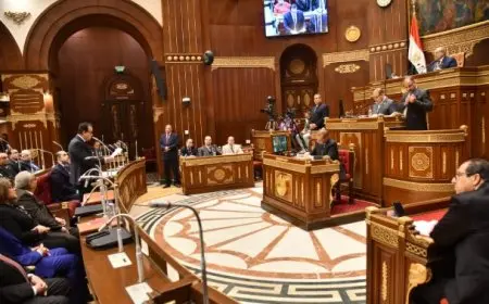 مجلس الشيوخ يوافق على مفهوم المهن الطبية من مشروع قانون تنظيم المسئولية الطبية وحماية المريض