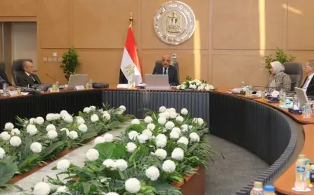 وزير الكهرباء: توحيد قواعد بيانات المشتركين إلى 29.9 مليون مشترك