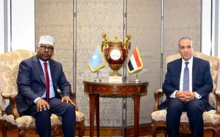وزير الخارجية ونظيره الصومالي: يجب الإسراع في تشكيل البعثة الأفريقية الجديدة للدعم والاستقرار بالصومال