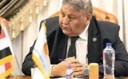 النائب وفيق عزت: هناك حاجة لسرعة إنجاز طلبات التصالح على مخالفات البناء