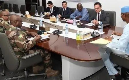 الخارجية: مصر ستستمر في دعم قدرات الجيش المالي لمجابهة التحديات الراهنة