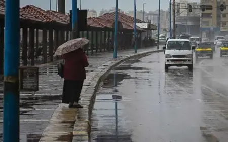 الإسكندرية تستعد لموجة نوة عيد الميلاد وتوقعات الأرصاد بسقوط أمطار غزيرة ورياح قوية تضرب السواحل