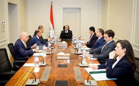 وزير الخارجية يبحث تطوير الخدمات القنصلية