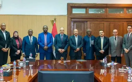 وزير الري يشهد ختام اجتماعات اللجنة الفنية التوجيهية بين مصر والكونغو الديمقراطية