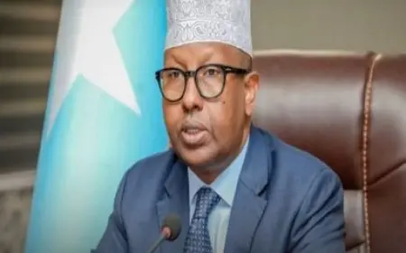 وزير الخارجية الصومالي: نريد التواجد المصري على الصعيد العسكري والسياسي في بلادنا