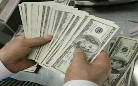 سعر الدولار اليوم في البنوك مقابل الجنيه المصري الاربعاء 25 ديسمبر 2024