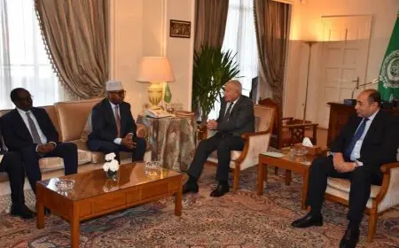 أبو الغيط لوزير الخارجية الصومالي: ندعم أمن وسلامة أراضي الصومال