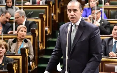 وزير الشئون النيابية يلتقي رئيس المجلس الأعلى لتنظيم الإعلام