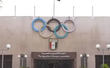 اللجنة الأولمبية المصرية تعتمد مجالس إدارات «البارالمبية» و33 اتحادا رياضيا