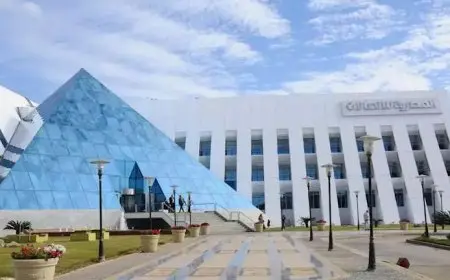 المصرية للاتصالات تستهدف نمو إيراداتها بنسبة أكبر من 20% خلال 2025