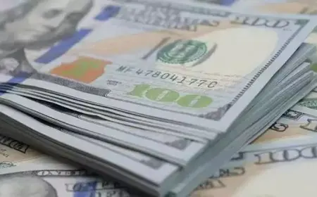 فيتش سوليوشنز تتوقع سعر صرف الدولار بين 50 و55 جنيها خلال 2025 لهذه الأسباب