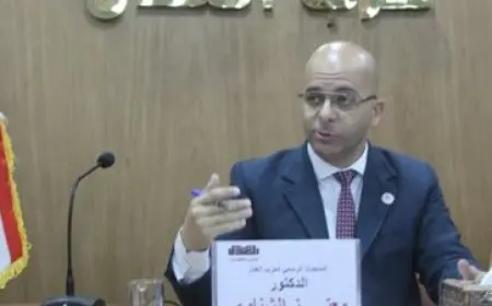 النائب سامي سوس: قرار العفو عن 54 من المحكوم عليهم من أبناء سيناء بادرة إنسانية