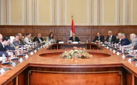 وزيرة التنمية المحلية تستعرض سبل التعامل مع ظاهرة انتشار الحيوانات الضالة بالمحافظات