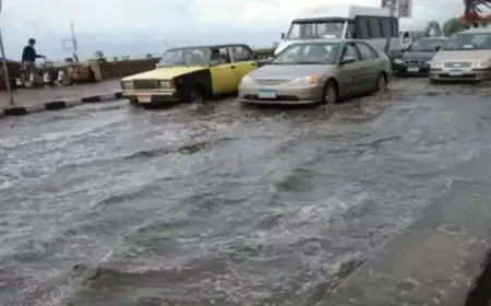 نوة عيد الميلاد.. حالة الطوارئ في الإسكندرية استعدادًا لنوة عيد الميلاد 2025 توقعات الأمطار والرياح العاتية