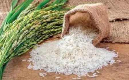 سعر طن الأرز الشعير اليوم الاحد الموافق 29-12-2024 وفقاً لأخر التحديثات في اسعار الارز الابيض في المحلات